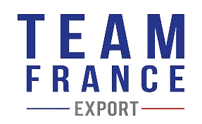 Team_France_Export_original_Logo-removebg-preview